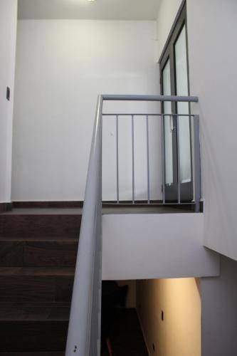 foto19