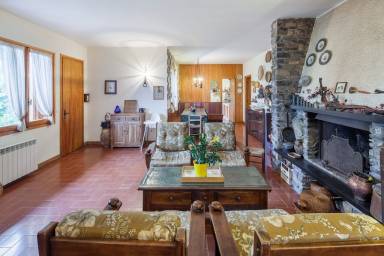 House Yard Ceriana