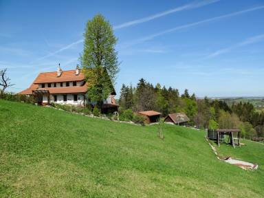 House  Ostrava