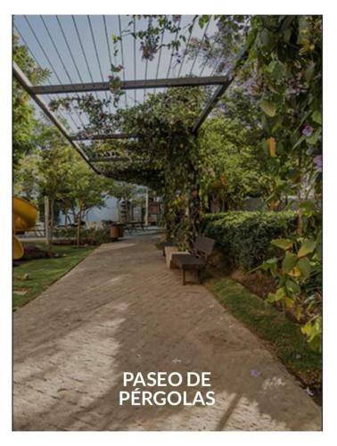 foto14