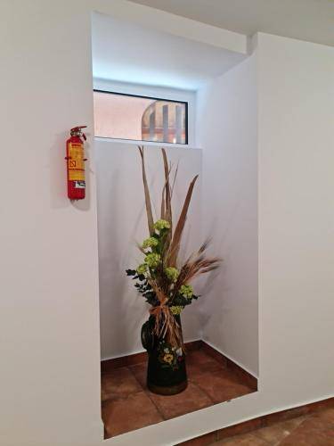 foto14
