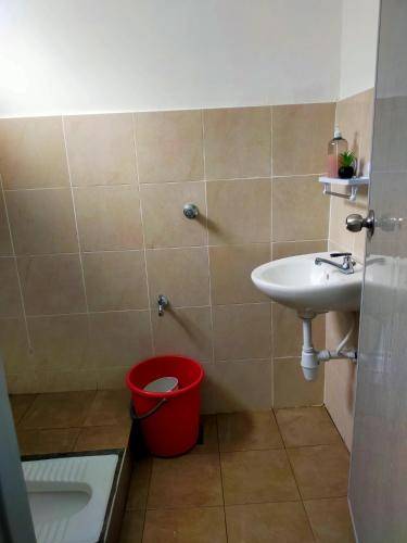 foto5
