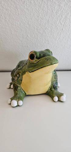 foto14