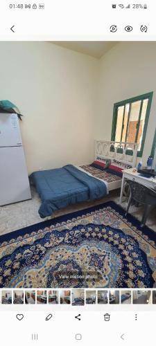 foto11