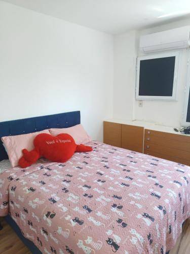 foto19