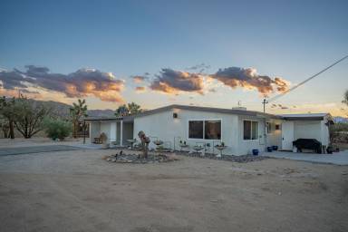 House Joshua Tree