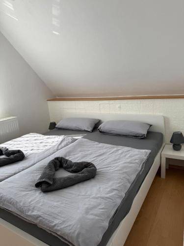 foto19