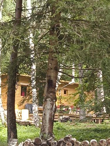 Chalet  Les Estables