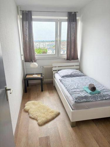 foto10