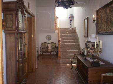 Casa Mascotas Villanueva de los Infantes