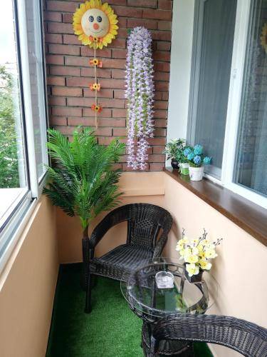 foto2