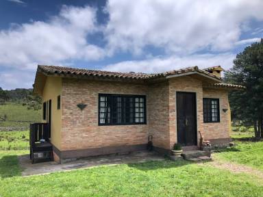 Casa Animais de estimação São José dos Ausentes