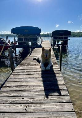 Cottage Walloon Lake