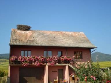 Une location de vacances à Hunawihr, tous les charmes de l'Alsace - HomeToGo