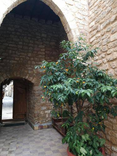 foto5