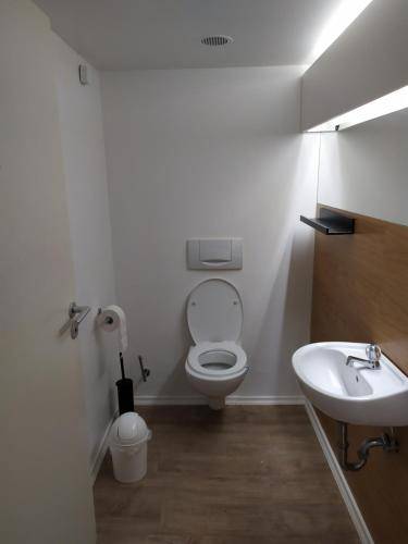 foto11