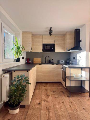 Apartmán Horní Lipová