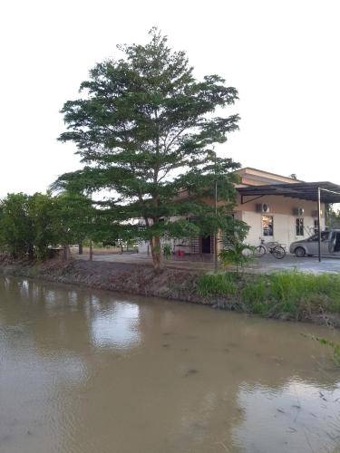 House Arau