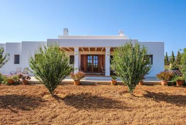 House  Sant Carles de Peralta