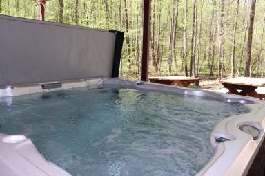 Cabin Dahlonega