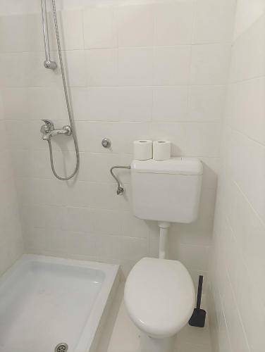 Apartma Medno