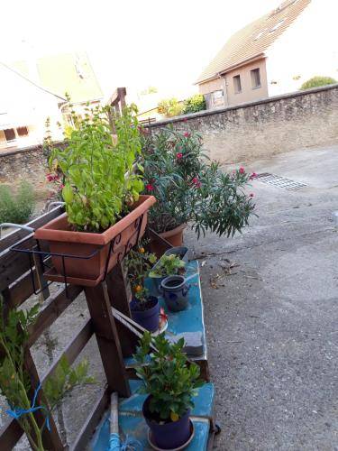 foto12
