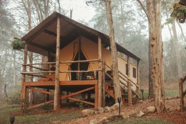 Cabin Pet-friendly Gifford Pinchot State Park