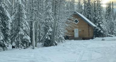 Cabin Fairbanks