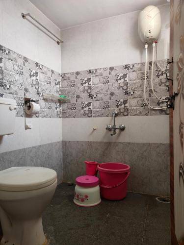 Bed and breakfast  Hampi