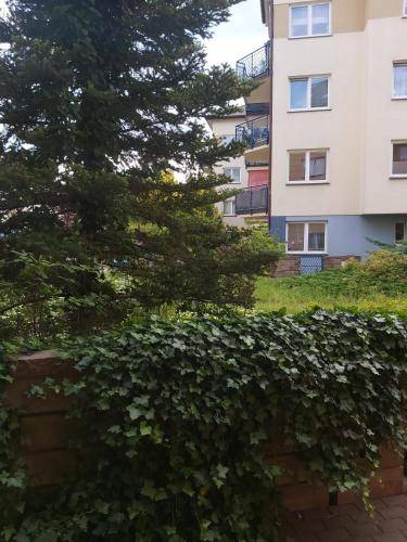Apartament Otwock
