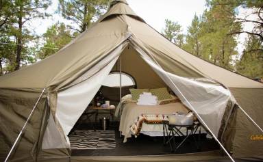 Camping Grand Canyon Village