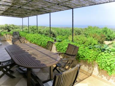 Appartement Cervione