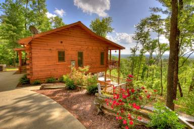 Cabin Cherry Log