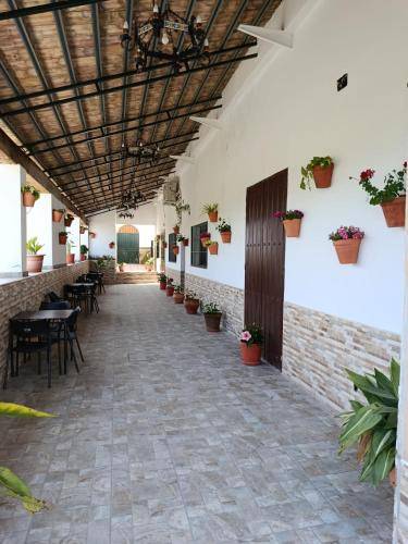 Apartamento Sevilha
