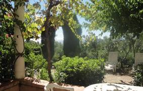 foto8