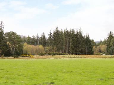 Cottage Archiestown