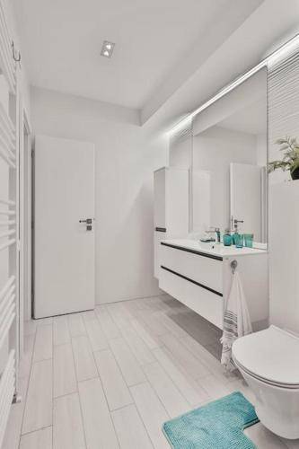 Apartman Coltău