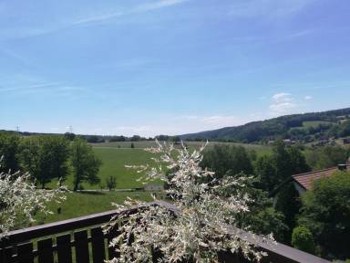 Apartment  Gammelsbach
