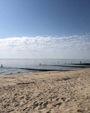 Cottage Reedville