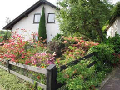 Ferienhaus Balkon Hachenburg