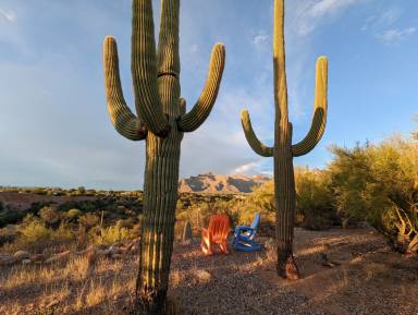 House Pet-friendly Oracle Foothills Estates