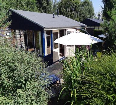 Wunderschönes Ferienhaus in Dirkshorn mit gemeinsamem Pool, Garten und Grill