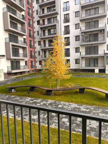 foto6