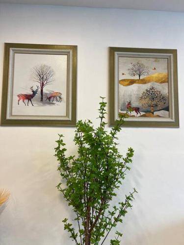 foto10