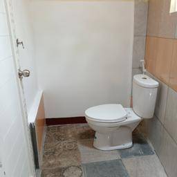 foto41