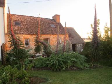 Cottage Pet-friendly Saint-Jean-du-Doigt