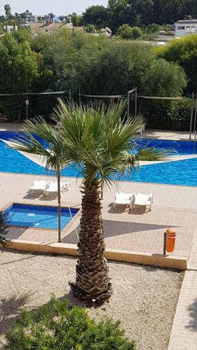 Appartement Ayia Napa