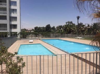 Apartment Pool Arica