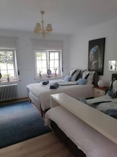 Holiday apartment | Dogs allowed in Dinant