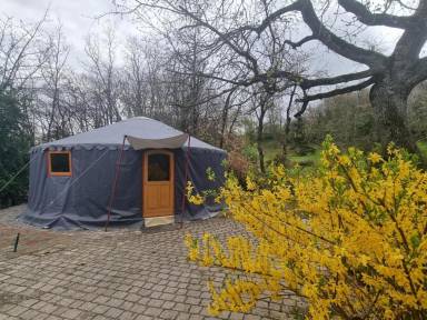 Cottage  Condrieu